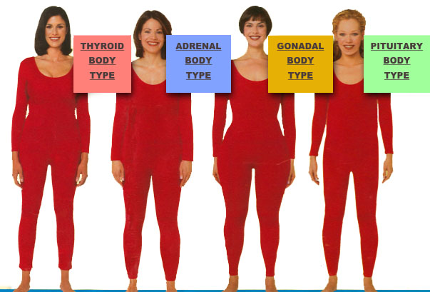 The body type system